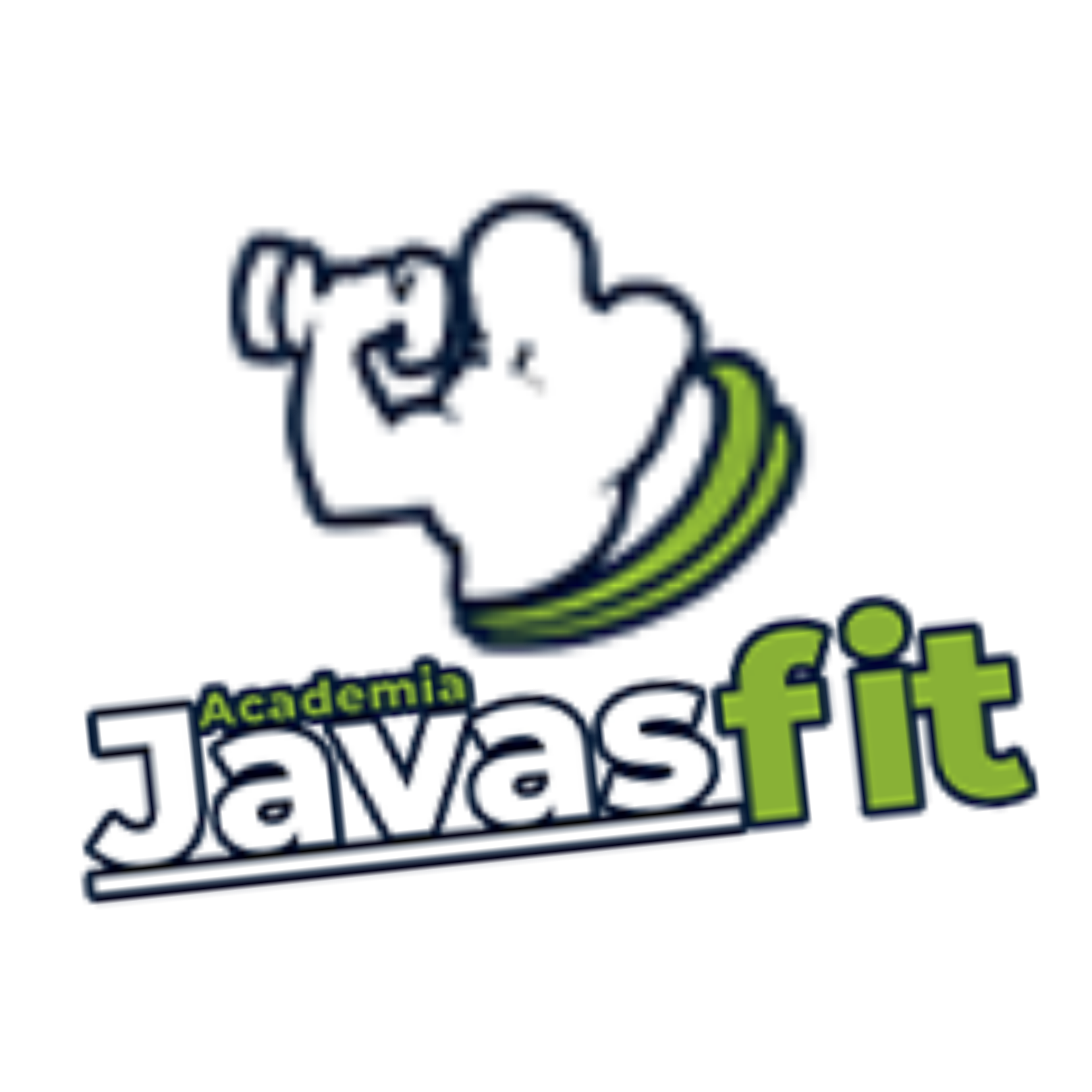 Academia Javasfit